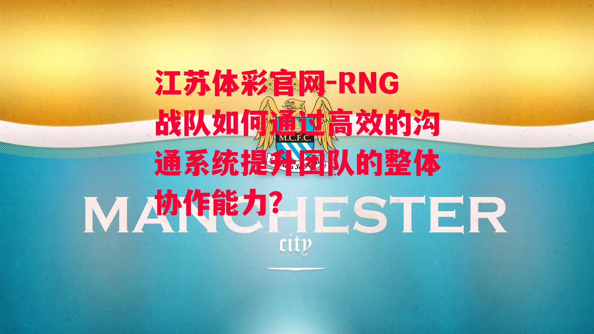 RNG战队如何通过高效的沟通系统提升团队的整体协作能力？